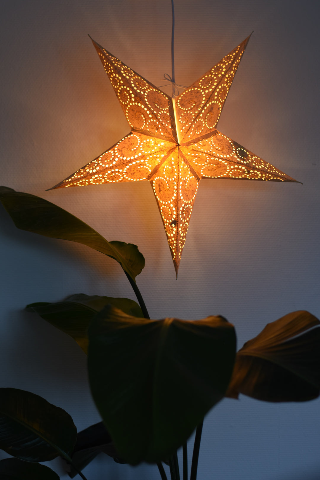 Embroidered star in cream