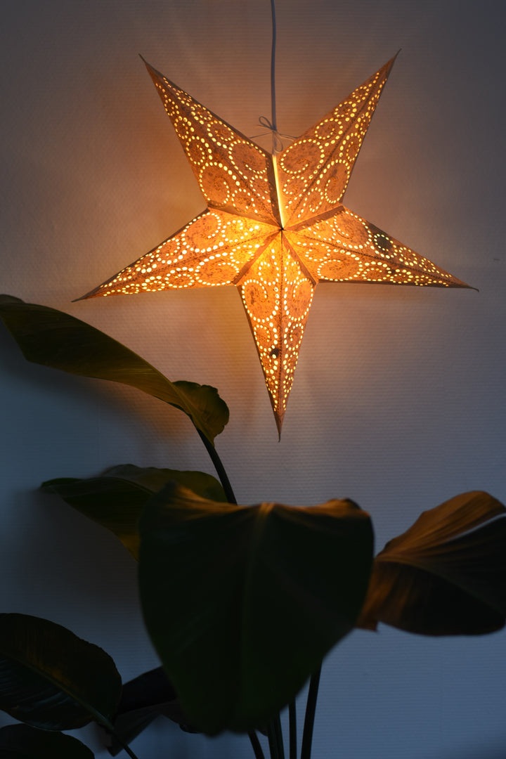 Embroidered star in cream