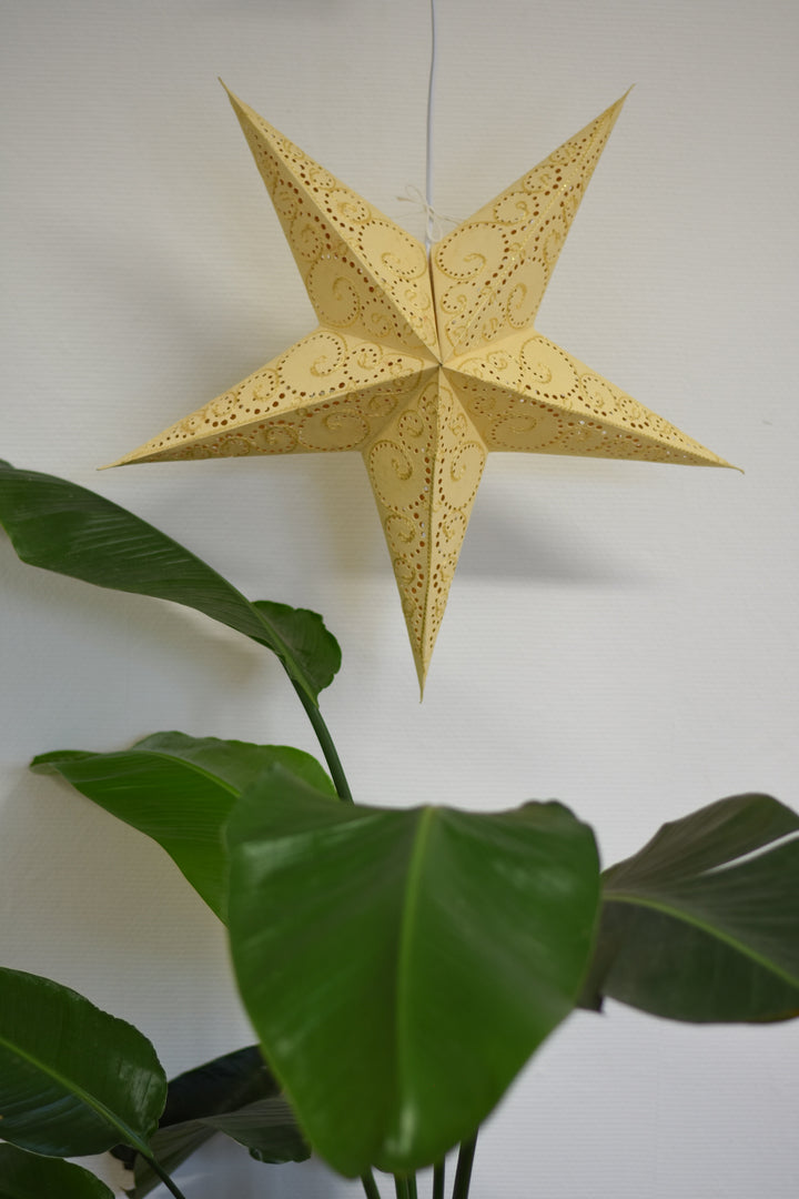 Bestickter Stern in CREME