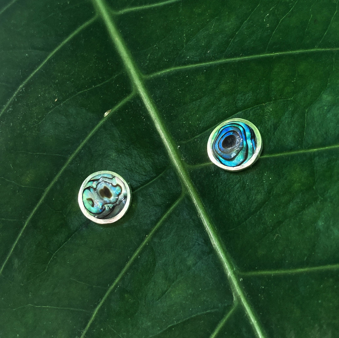 Ohrstecker mit blauer Abalone Muschel